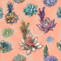 Seamless pattern with succulents . Graphics. Watercolor. Vector Royalty Free Stock Photo