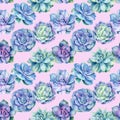 Seamless pattern with succulents plants , watercolor illustration