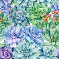 Seamless pattern with succulents plants , watercolor illustration