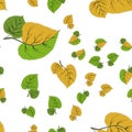 seamless pattern. summer autumn linden leaves. Tilia europaea, common linden. vector green leaves on a white background
