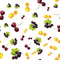 Seamless pattern with summer berries of apricot, currant and cherry Royalty Free Stock Photo