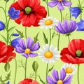 Seamless pattern with summer flowers.