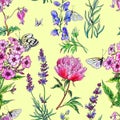 Seamless pattern from summer flowers, hand drawing.