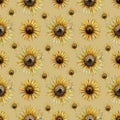 Seamless pattern with sunflower on a beige background. Graphics watercolor illustration