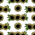 Seamless pattern sunflower flower line art. Black, white and yellow illustration of a sunflower. Hand drawn decorative blooming Royalty Free Stock Photo