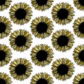 Seamless pattern sunflower flower line art. Black, white and yellow illustration of a sunflower. Hand drawn decorative Royalty Free Stock Photo