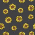 Seamless pattern with sunflower flowers on gray background. Royalty Free Stock Photo