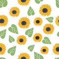 Seamless pattern of sunflower flowers and leaves Royalty Free Stock Photo