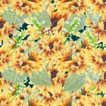 Seamless pattern with sunflower Royalty Free Stock Photo