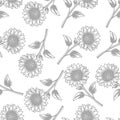 Seamless pattern sunflower plant stylized gray and white background illustration Royalty Free Stock Photo