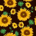 Seamless pattern with sunflowers on black background.