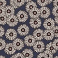 Seamless pattern sunflowers dark background. Beautiful texture with line sunflower Royalty Free Stock Photo