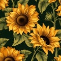 Seamless pattern with sunflowers on dark green background Royalty Free Stock Photo