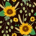 Seamless pattern with sunflowers, wheat and hops. Royalty Free Stock Photo
