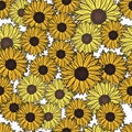 Seamless pattern sunflowers on white background. Beautiful texture with bright yellow sunflower and leaves Royalty Free Stock Photo
