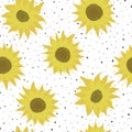 Seamless pattern with sunflowers on white background with polka dot. Flowers, buds and leaf. Vector backdrop with yellow flower Royalty Free Stock Photo