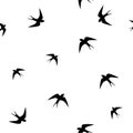 Seamless pattern with swallows. Vector Royalty Free Stock Photo