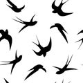 Seamless pattern. Swallows on a white background.