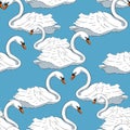 Seamless pattern Swan bird of white swims Vector illustration