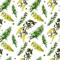 seamless pattern sweet clover yellow and white