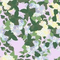 Seamless pattern with syringa.