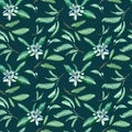 Seamless pattern of tangerine flowers and leaves on dark blue-green background. Watercolor tropical background. Royalty Free Stock Photo