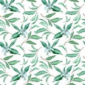 Seamless pattern of tangerine flowers and leaves on white background. Watercolor tropical background. Royalty Free Stock Photo