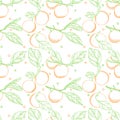 Seamless pattern with tangerines on branches with leaves. Color vector pattern with citrus fruits. Elements with a contour are Royalty Free Stock Photo