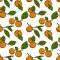 Seamless pattern with tangerines on branches with leaves. Color vector pattern with citrus fruits. Elements are hand-drawn on a Royalty Free Stock Photo