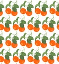 Seamless pattern with tangerines on white background