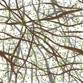 Seamless pattern tangled Brown branches with green leaves on white abstract background for site, blog, fabric. Vector