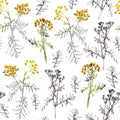 Seamless pattern of tansy sprigs, watercolor and graphic drawing