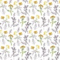 Seamless pattern of tansy sprigs, watercolor and graphic drawing