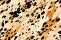 seamless pattern texture with animal color of cheetah leopard skin with black orange spots on white background Royalty Free Stock Photo