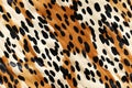 seamless pattern texture with animal color of cheetah leopard skin with black orange spots on white background