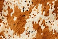 seamless pattern texture background with animal color cheetah leopard skin with black orange spot