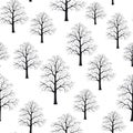 Seamless pattern texture background with winter trees branches. Black and White