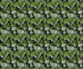 Seamless pattern texture of bush branch with green leaves Royalty Free Stock Photo