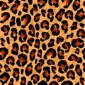 Seamless pattern with texture coloring leopard