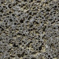 Seamless pattern texture of orange stone pumice with holes is in the photo Royalty Free Stock Photo