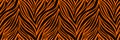 Seamless pattern. Texture of tiger skin. Africa orange and black linear background. Animal seamless pattern. Abstract art Royalty Free Stock Photo