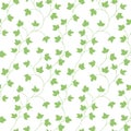 Seamless pattern. Thin green delicate twigs with leaves isolated on white background.