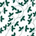 Seamless pattern. Thin green delicate twigs with leaves isolated on white background.