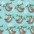 Seamless pattern Three-toed sloth on green branch