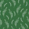 Seamless Pattern with Thyme Sprigs and Branches