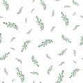 Seamless Pattern with Thyme Sprigs on White