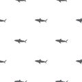 Seamless pattern Tiger shark isolated on white background. Gray textured of marine fish for any purpose Royalty Free Stock Photo