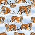 Seamless Pattern of Tigers in Snow Royalty Free Stock Photo