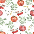 Seamless pattern of tomato Royalty Free Stock Photo