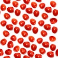 Seamless pattern tomatoes on a white background. Layout Royalty Free Stock Photo